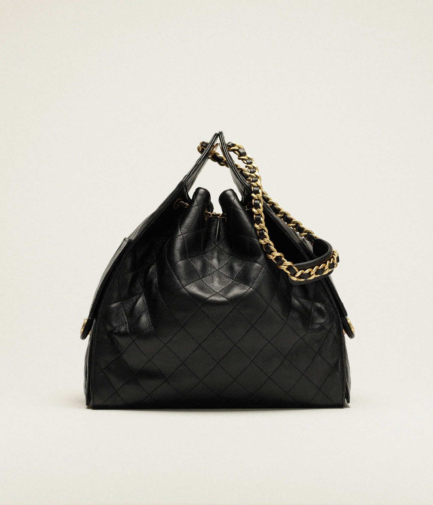 25 Hobo Bag