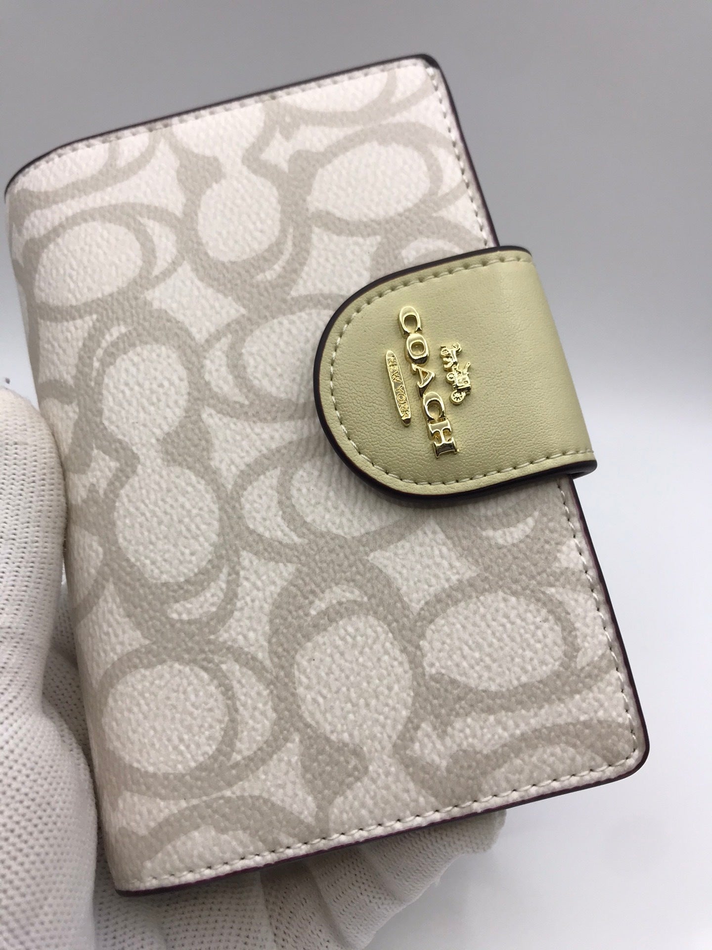 Medium Corner Zip Wallet In Beige