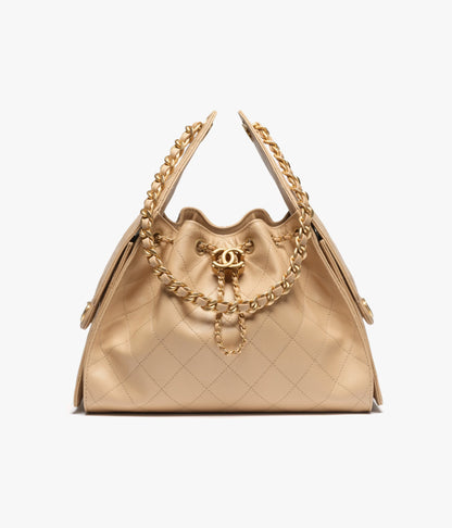 25 Hobo Bag